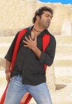 Oosaravelli Movie Stills - 7 of 17