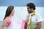 Oosaravelli Movie High Resolution Stills - 1 of 20