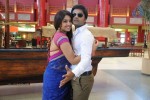 Osthi Movie Hot Stills - 6 of 14