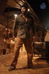 Palnadu Movie Stills - 5 of 22