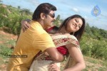 Pandavulu Movie New Stills - 1 of 33