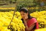 Pandi Oli Perukki Nilayam Tamil Movie Stills - 17 of 75