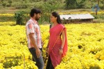 Pandi Oli Perukki Nilayam Tamil Movie Stills - 64 of 75