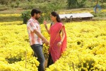Pandi Oli Perukki Nilayam Tamil Movie Stills - 66 of 75