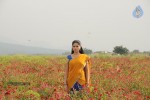 Pandi Oli Perukki Nilayam Tamil Movie Stills - 67 of 75