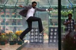 Panjaa Movie Latest Stills - 4 of 16