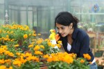 Panjaa Movie Latest Stills - 7 of 16