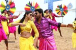 Pattaya Kelappanum Pandiya Tamil Movie Stills - 35 of 39