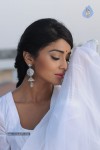 Shriya Latest Stills - 95 of 130