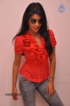 Shriya Latest Stills - 98 of 130