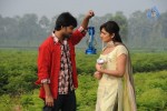 Pilla Zamindar Movie Stills - 17 of 25