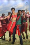 Pooja Movie New Photos - 5 of 13