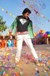Poola Rangadu Movie Latest Stills - 2 of 79