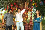 Poola Rangadu Movie Stills - 33 of 76