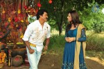 Poola Rangadu Movie Stills - 42 of 76