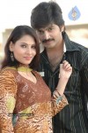 Premaku Sye Movie Stills - 22 of 39
