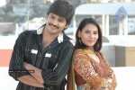 Premaku Sye Movie Stills - 38 of 39
