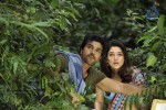 Rachcha Movie New Stills - 30 of 53