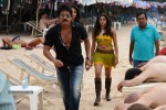 Ragada Movie New Gallery - 26 of 30