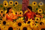 Ragada Movie New Gallery - 27 of 30