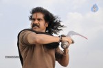 Rajanna Movie Stills - 21 of 30