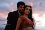 Rakshakudu Movie Stills - 9 of 30