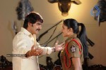 Ranga the Donga Movie Gallery - 102 of 186