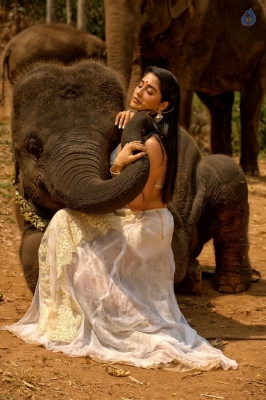 Regina Cassandra Stills In Nakshatram Movie - 1 of 3