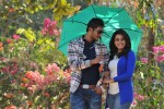 Romance Movie Stills - 3 of 7