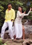 Sandamarutham Tamil Movie Gallery - 11 of 51