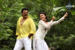 Sandamarutham Tamil Movie Gallery - 17 of 51