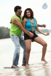 Sandamarutham Tamil Movie Gallery - 25 of 51