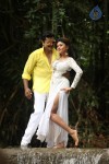 Sandamarutham Tamil Movie Gallery - 26 of 51