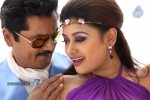 Sandamarutham Tamil Movie Gallery - 34 of 51