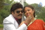 Sankranthi Alludu Movie New Stills - 11 of 47