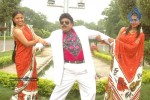 Sankranthi Alludu Movie New Stills - 42 of 47