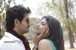 Sasesham Movie New Stills - 8 of 45