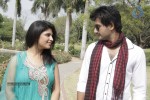 Sasesham Movie New Stills - 17 of 45