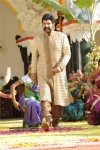 Simha Movie New Stills (CineJosh Exclusive) - 32 of 52