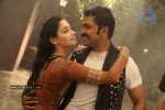 Siruthai Tamil Movie Gallery - 39 of 42