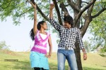 Snehame Thoduga Movie Stills - 77 of 142