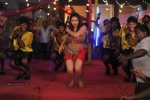 Swethabasu Item Song Stills in Intelligent Idiots - 25 of 27