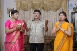 Telangana Vijayam Movie Stills - 170 of 219