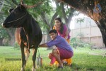 Vellakkara Durai Tamil Movie Gallery - 65 of 68