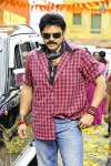 Venky Bodyguard Movie Stills - 1 of 5