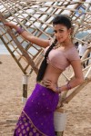 Vettai Tamil Movie Hot Stills - 23 of 39