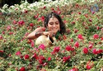 Vintha Kadha Movie Stills - 3 of 6