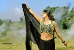 Where is Vidyabalan Movie Gallery - 72 of 109