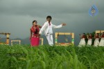 Yama Kantri Movie New Stills - 86 of 99