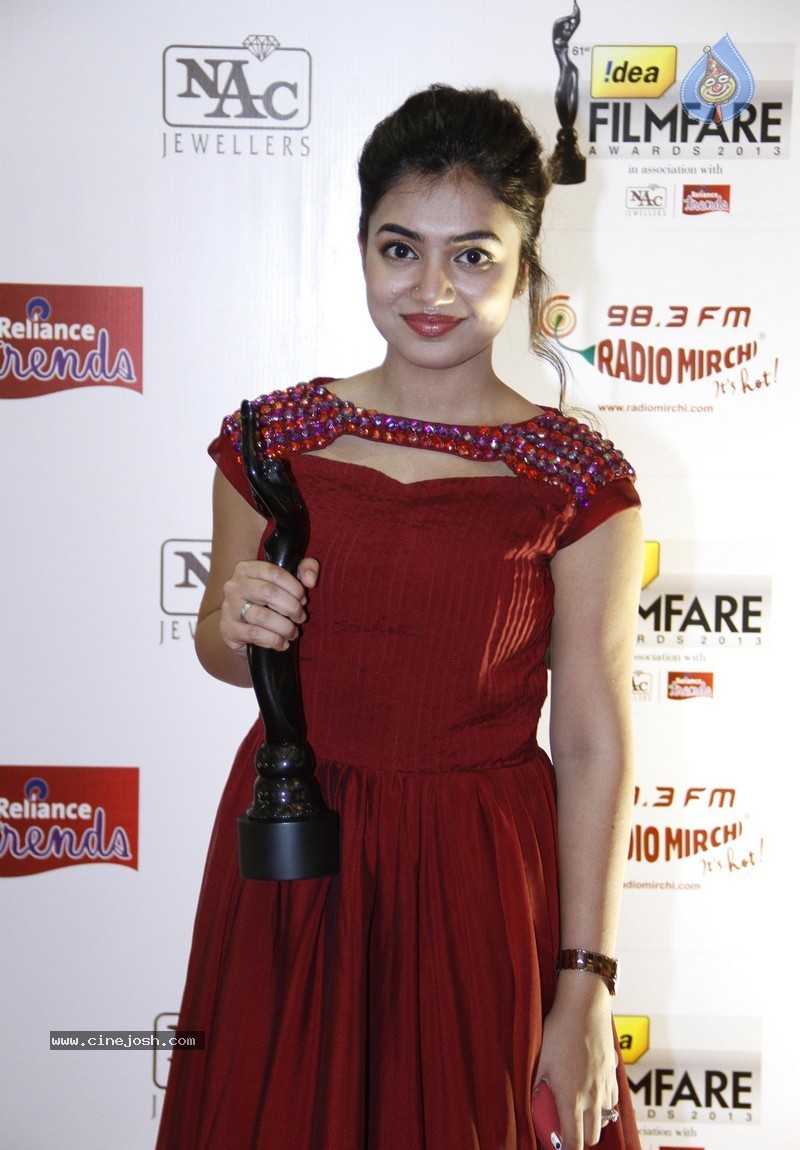 61st Idea Filmfare Awards 2013 Photos - 27 / 97 photos
